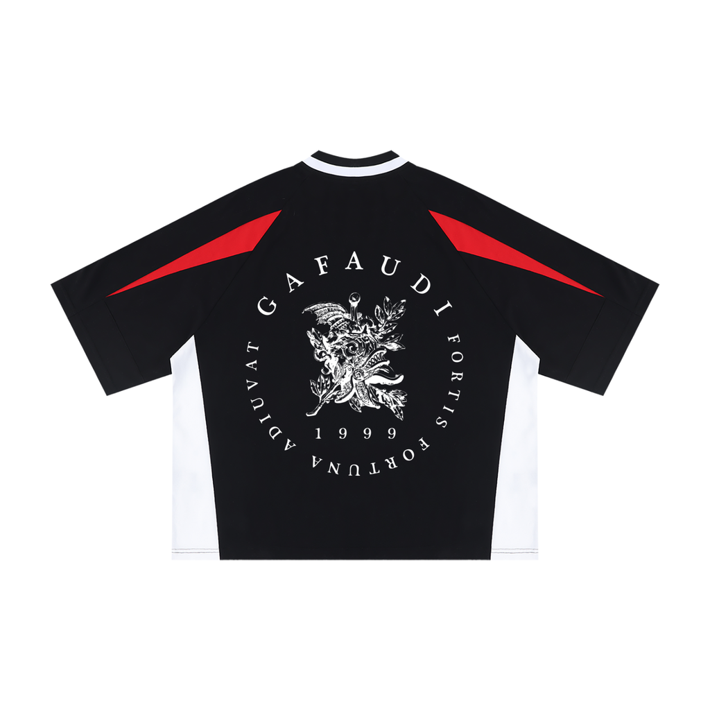 GAFAUDI Unisex Oversized Color Block V-Neck T-Shirt