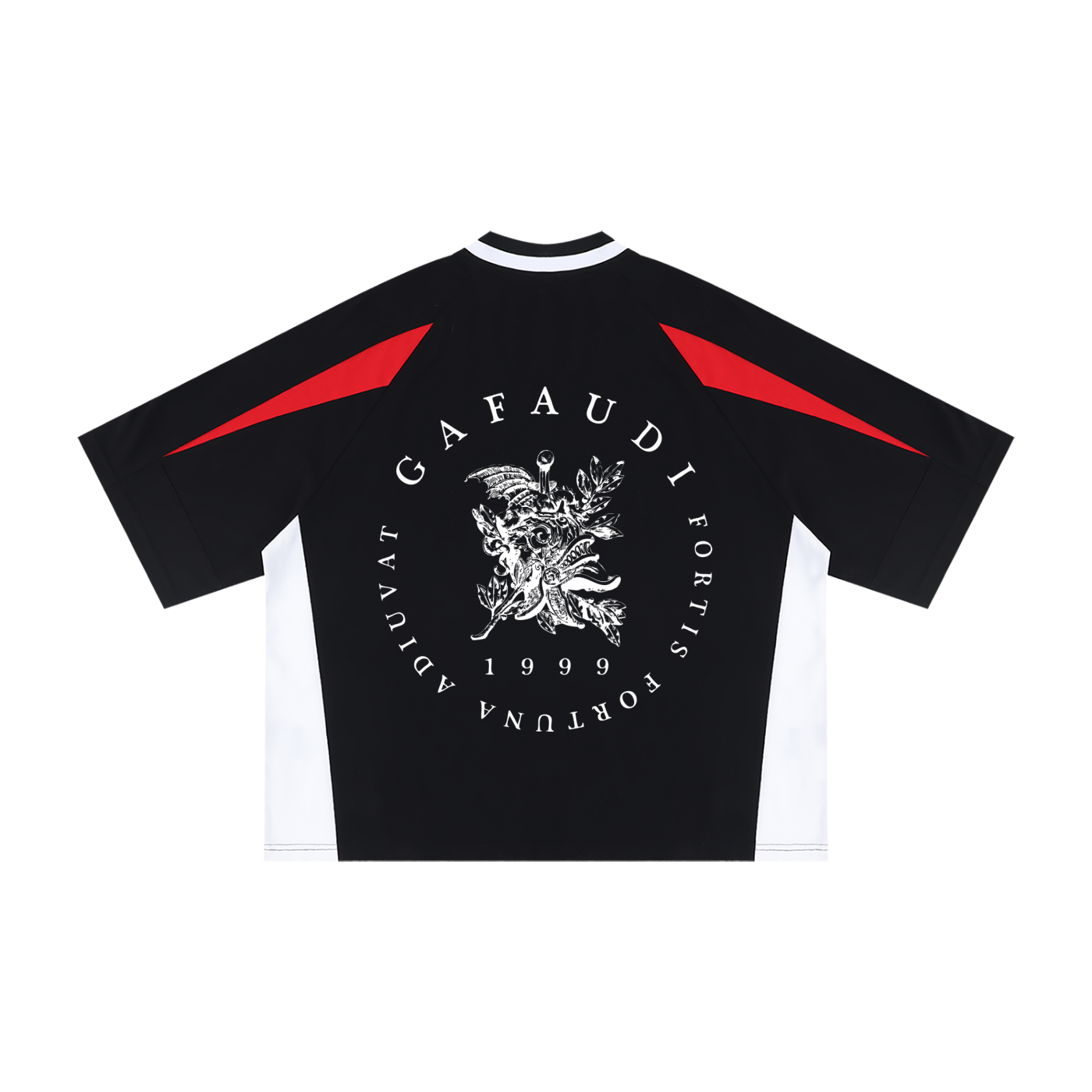 GAFAUDI Unisex Oversized Color Block V-Neck T-Shirt