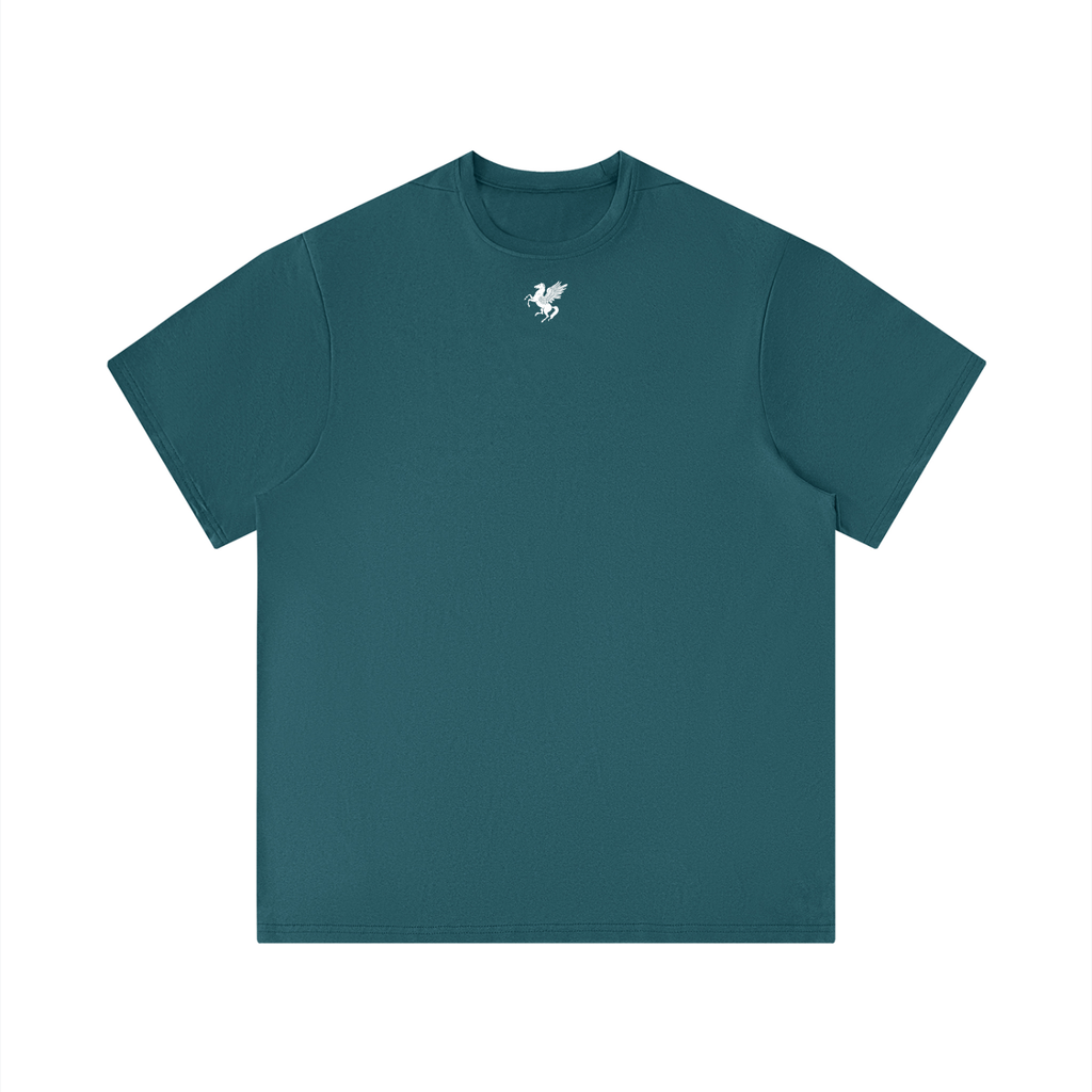 GAFAUDI Men's Performance Regular Fit T-Shirt