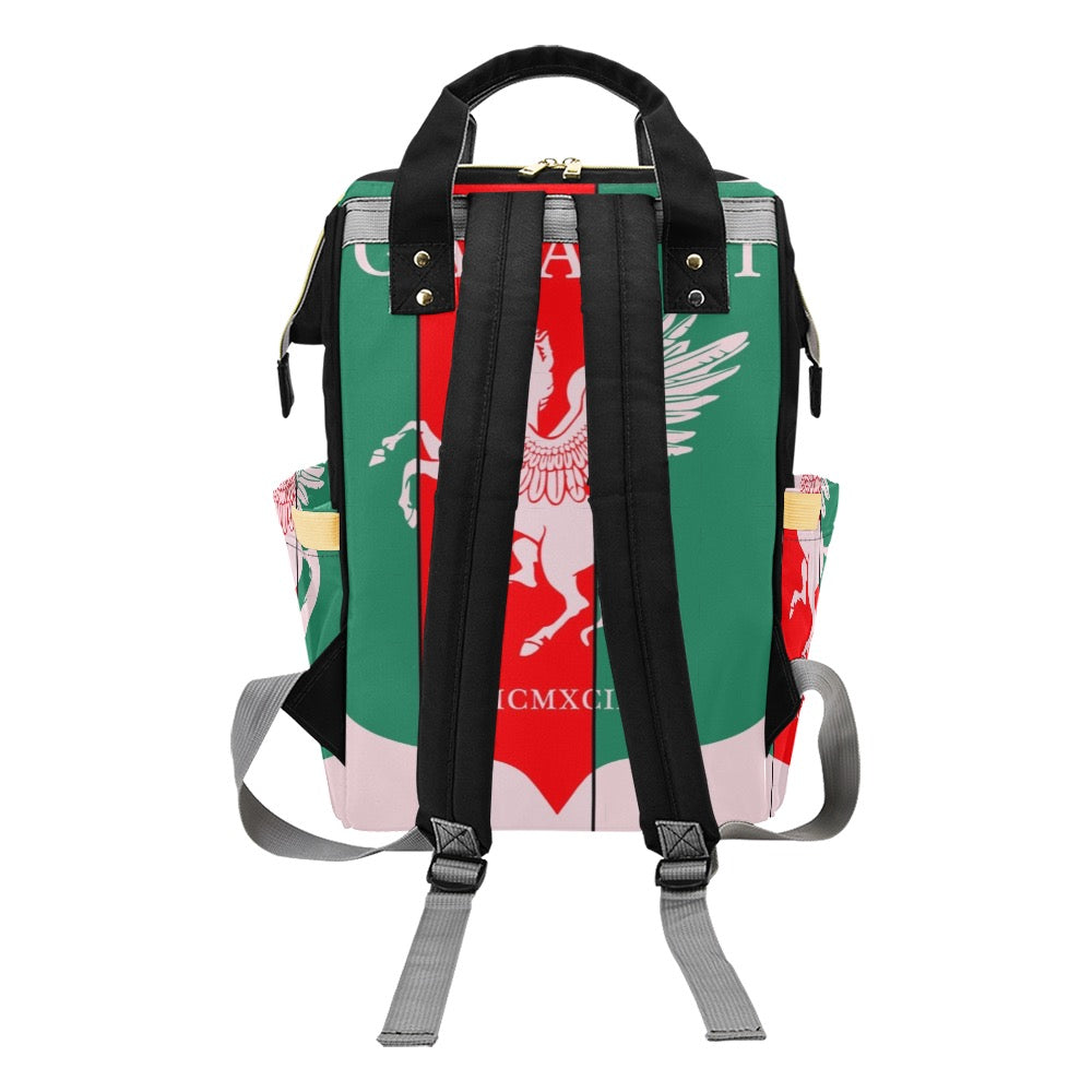 GAFAUDI Multi-Function Diaper Backpack/Diaper Bag