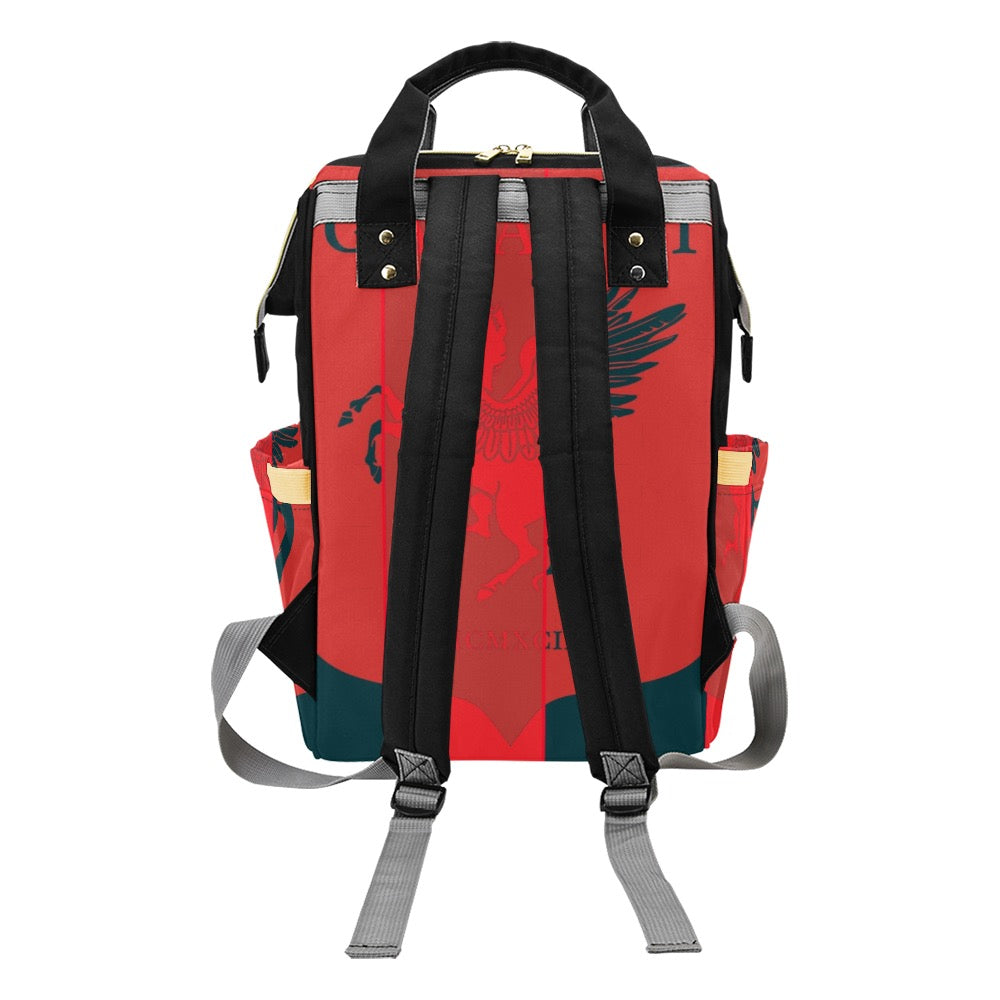 GAFAUDI Multi-Function Diaper Backpack/Diaper Bag